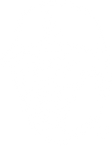 Dreebo Store