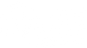 Dreebo Store